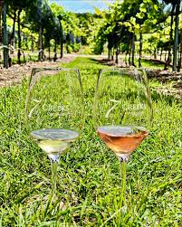 Spring Wine Club Pickup Party! 